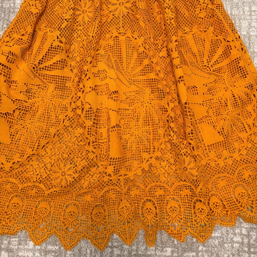 Farm Rio tropical lace parrot Midi Dress - Picture 11 of 12